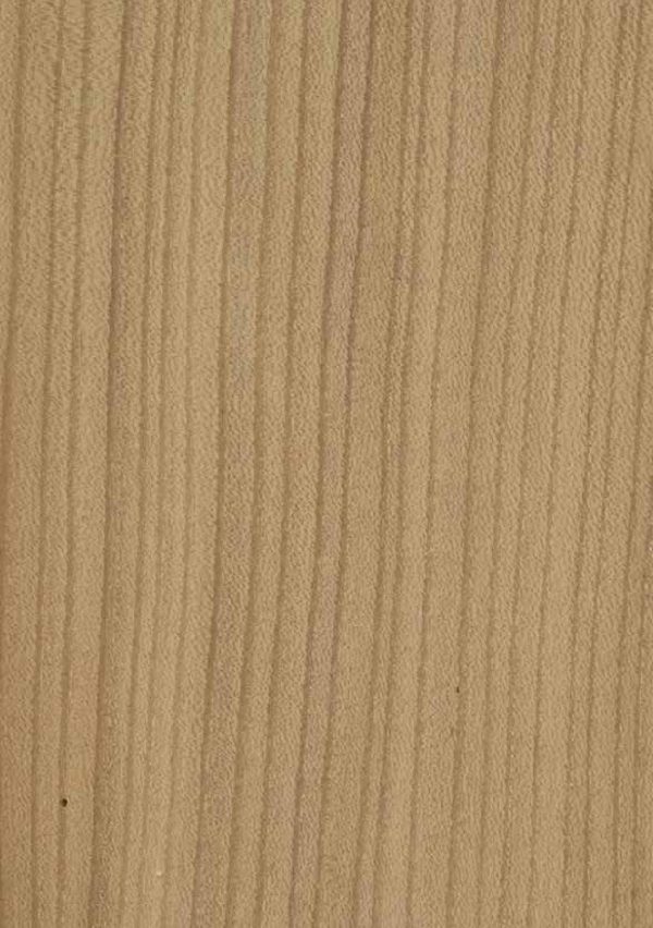Old Elm sawn patina