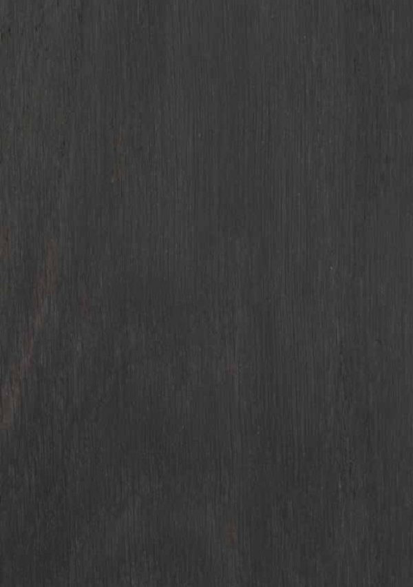 Black Bog Oak