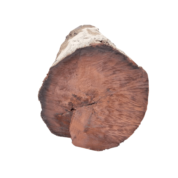 Bogwood Logs